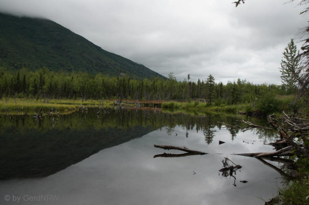 Eagle River Nature Center, Alaska, USA