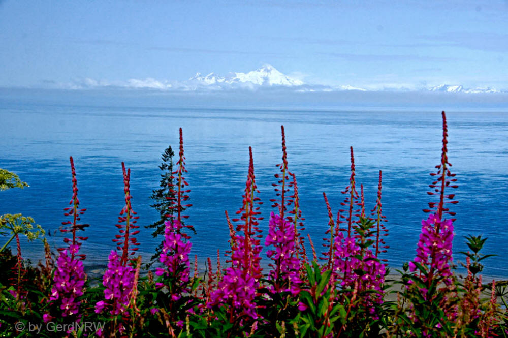 View of Volcano Mount Iliamna from Kenai Peninsula over Cook Inlet, Alaska, USA