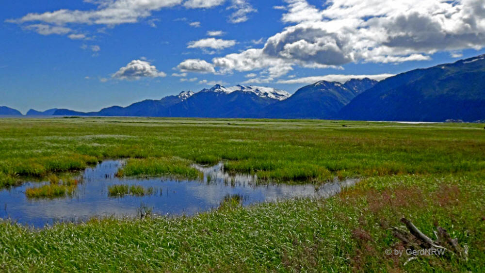 Mouth of Resurrection River, Seward, Alaska, USA