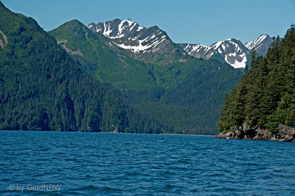 Whale watching tour with Northern Latitude Adventures, Resurrection Bay, Seward, Alaska, USA