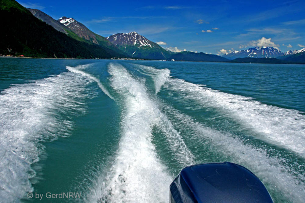 Whale watching tour with Northern Latitude Adventures, Resurrection Bay, Seward, Alaska, USA