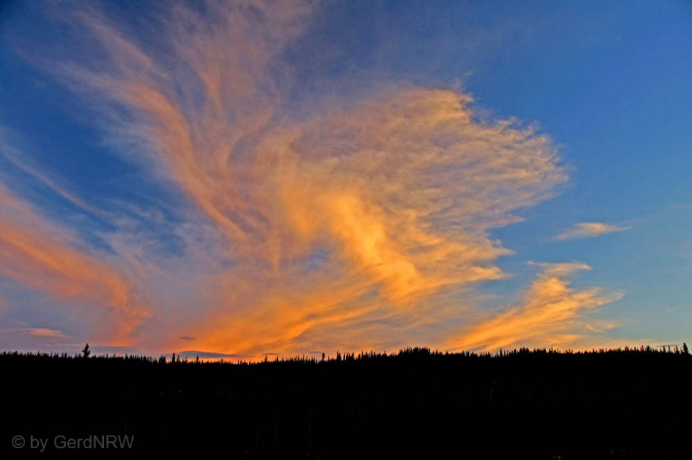 Midnight Sky, Healy near Denali Nationalpark, Alaska, USA