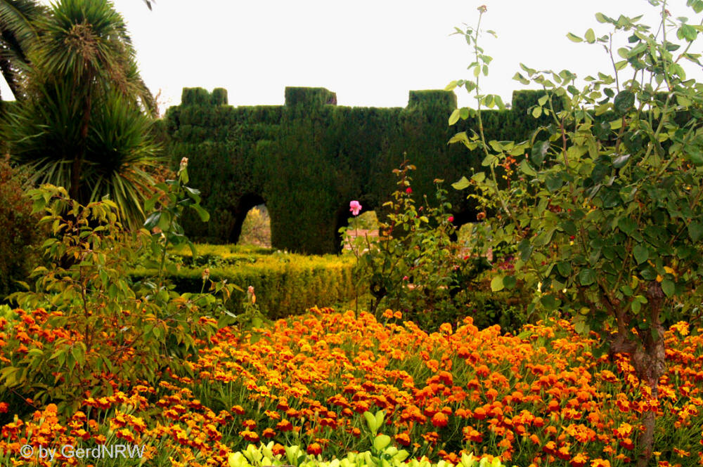Garden, Convento de San Fransisco, Alhambra, Granada, Spain
