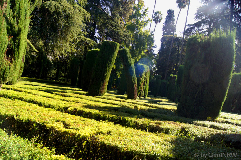 Garden at Reales Alcázares, Sevilla, Spain - Garten des Reales Alcázares, Sevilla, Spanien