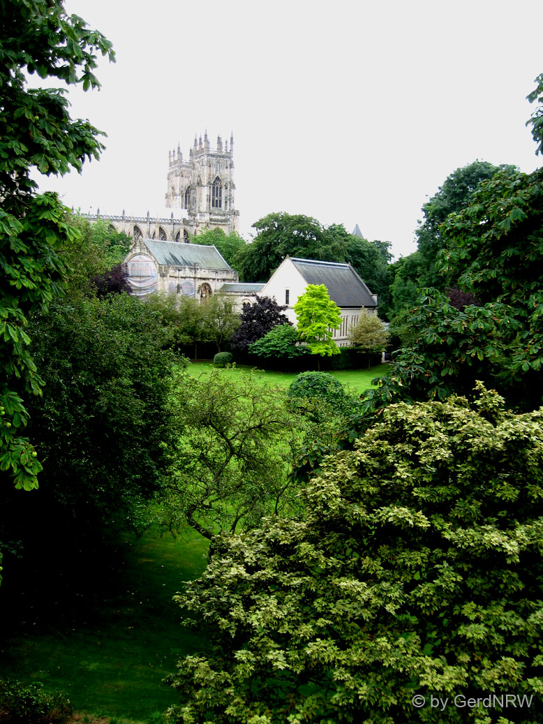 York Minster seen from the City Walls over Dean´s Park, York, Yorkshire, UK 