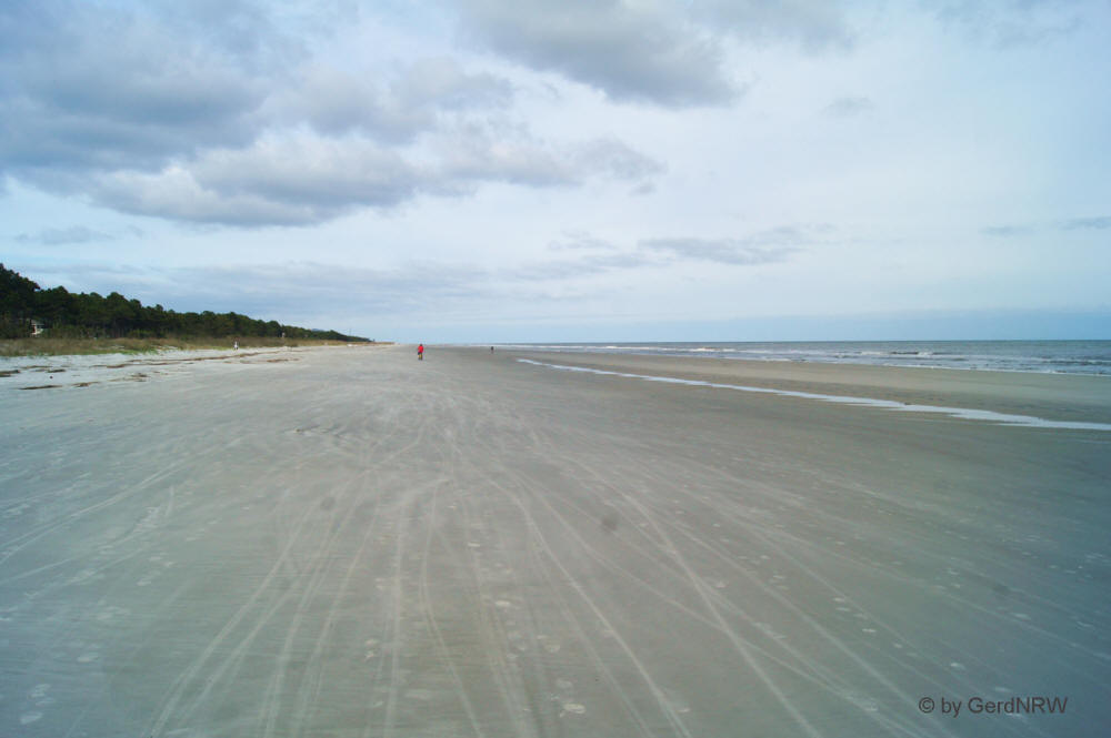 South Forest Beach Hilton Head Island