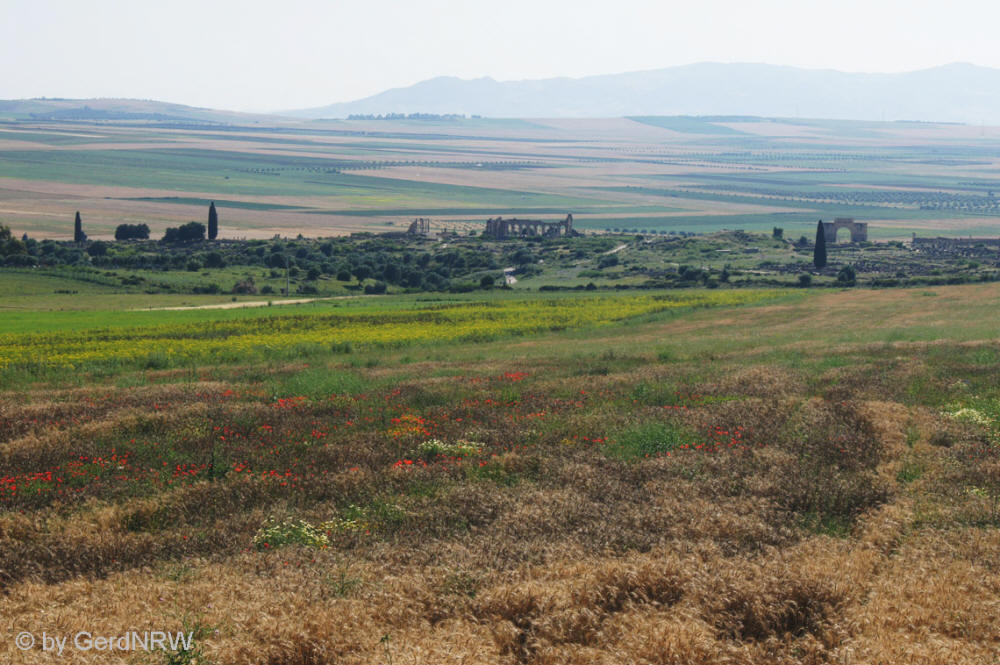 Old Roman City Volubilis (3rd century BC), near Meknes, Morocco - Alte Römische Stadt Volubilis (3. Jh. v. Chr.), Nahe Meknes, Marokko