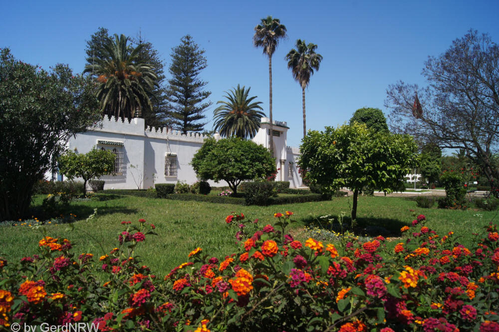 Royal Stud Haras de Meknes, Biggest Stud in North-Africa, Meknes, Morocco - Königliches Gestüt Haras de Meknes, Größtes Gestüt in Nordafrika, Meknes, Marokko