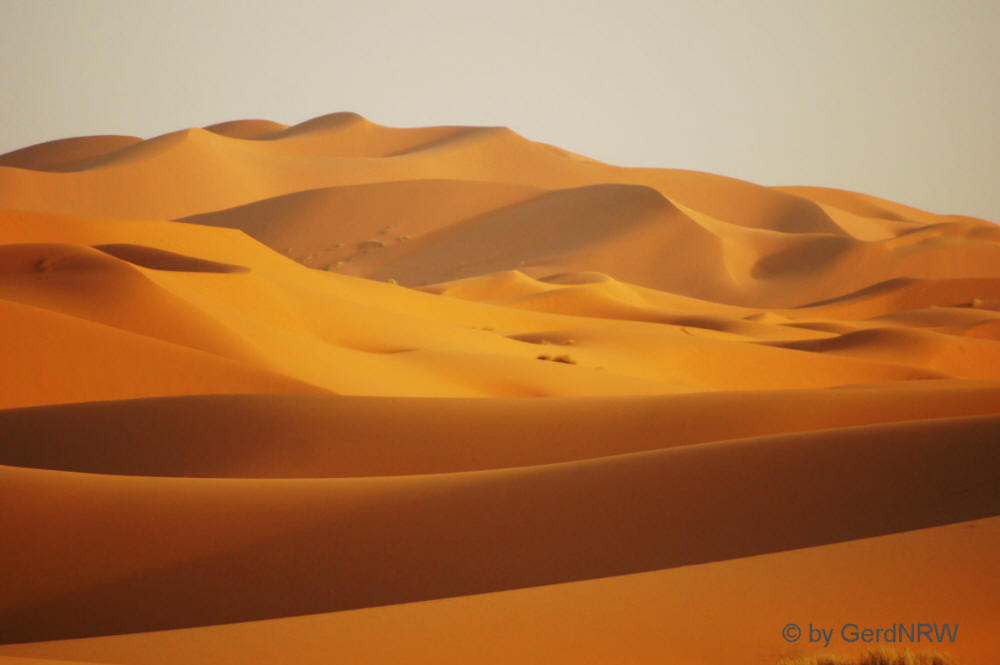 Evening Mood at Erg Chebbi, Sahara near Erfoud, Morocco - Abendstimmung Erg Chebbi, nahe Erfoud, Marokko