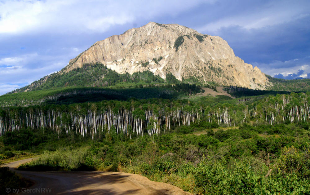Along unpaved Road 12 (Entlang der nicht asphaltierten Strasse 12), Kebler Pass , Colorado, USA