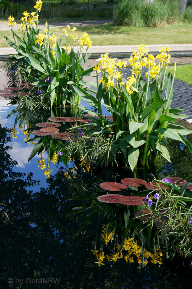 Botanical Garden (Botanischer Garten), Denver, CO, USA