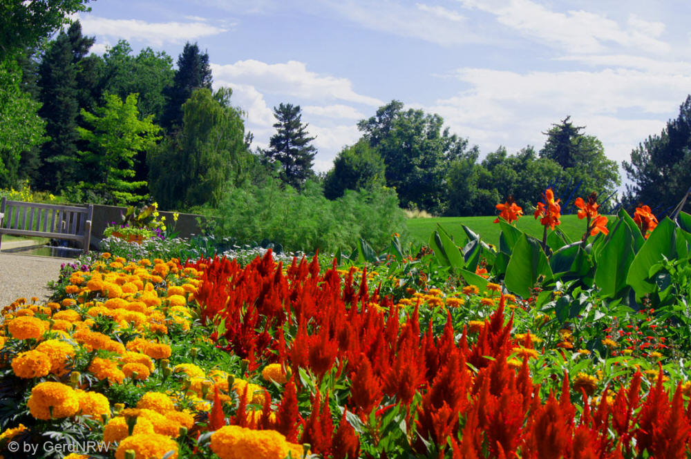 Botanical Garden (Botanischer Garten), Denver, CO, USA