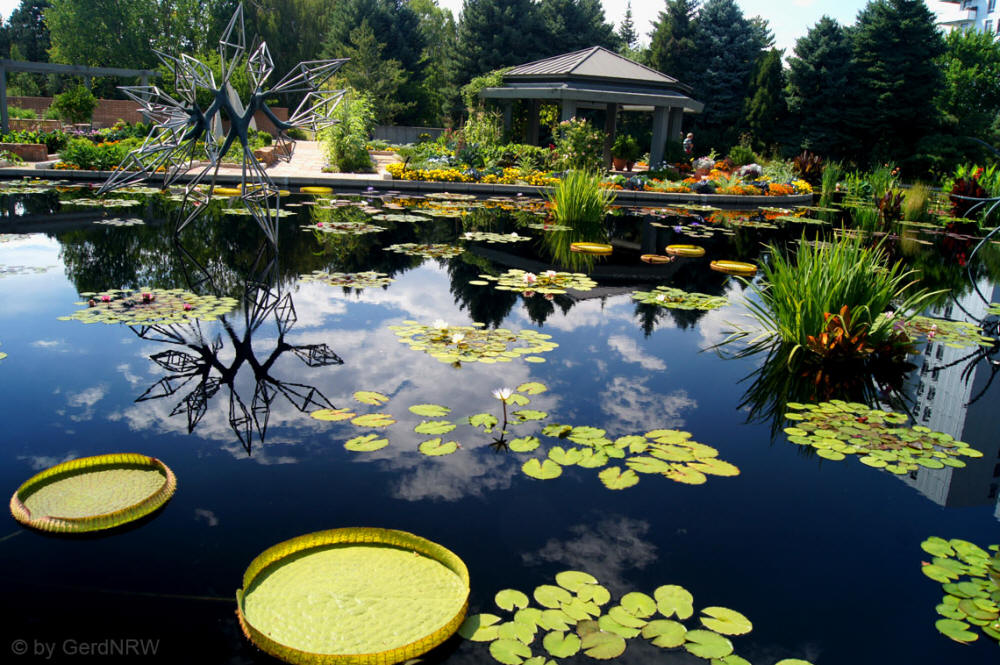 Botanical Garden (Botanischer Garten), Denver, CO, USA