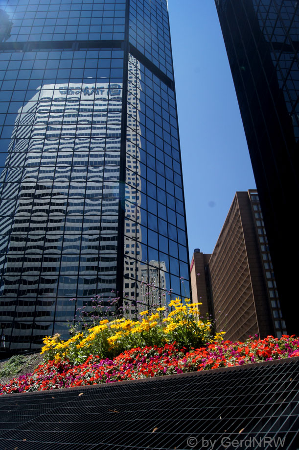 Downtown Denver, CO, USA 