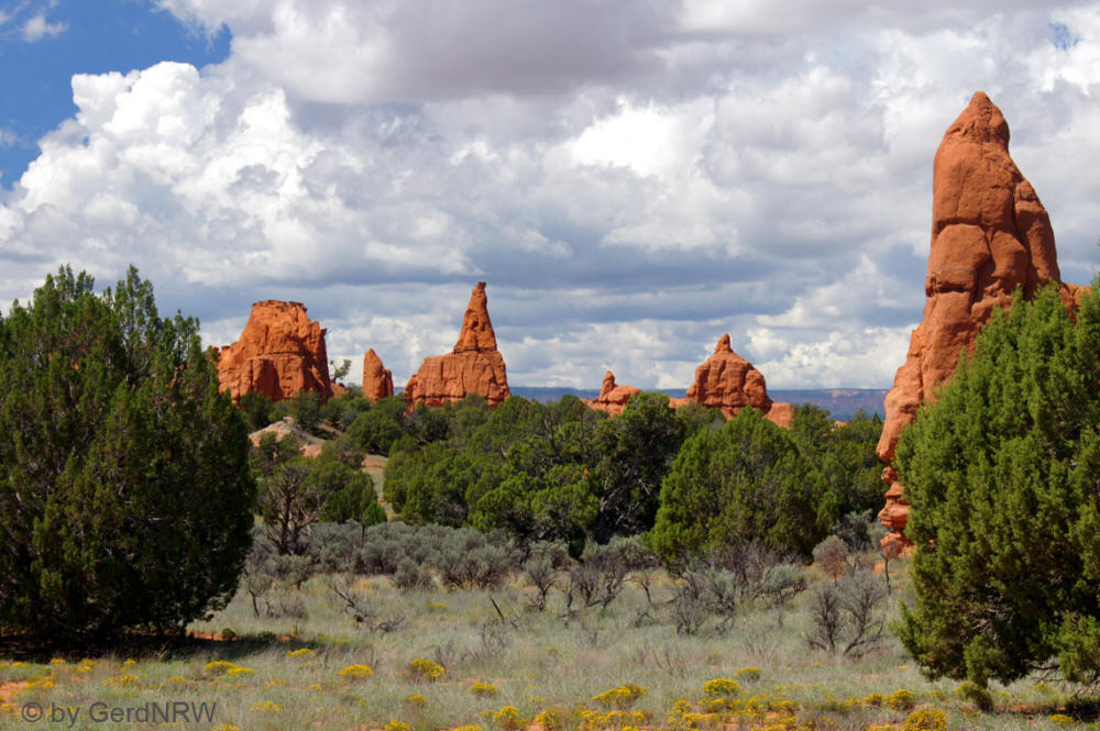 Near Chimney Rock, Kodachrome Basin State Park, Utah, USA