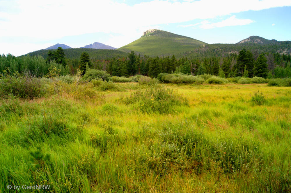 Estes Peak from Lily Lake, Rocky Mountains National Park, Colorado - USA