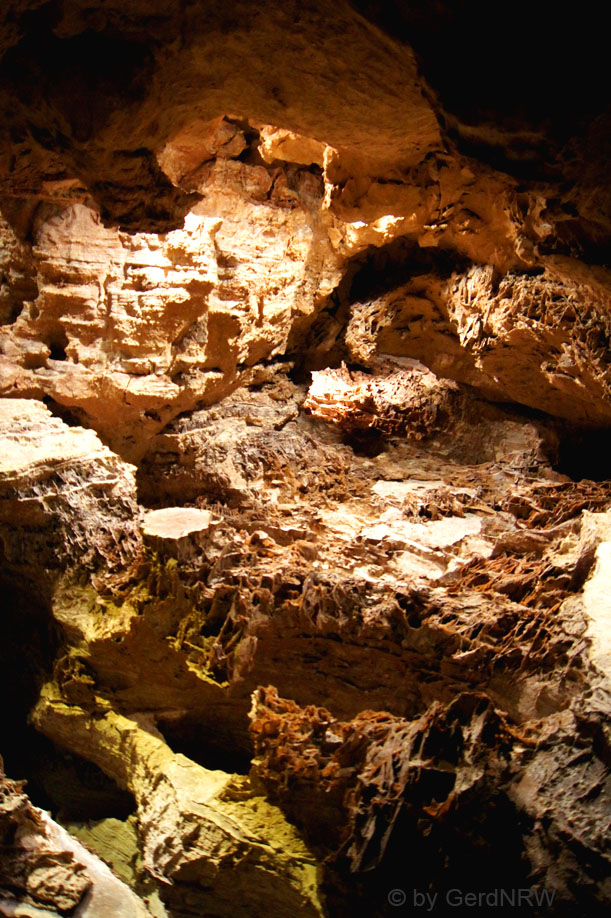 Wind Cave National Park, South Dakota - USA