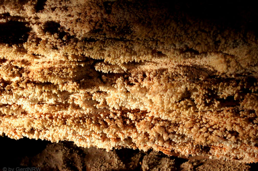 Frostwork "Popcorn", Wind Cave National Park, South Dakota - USA