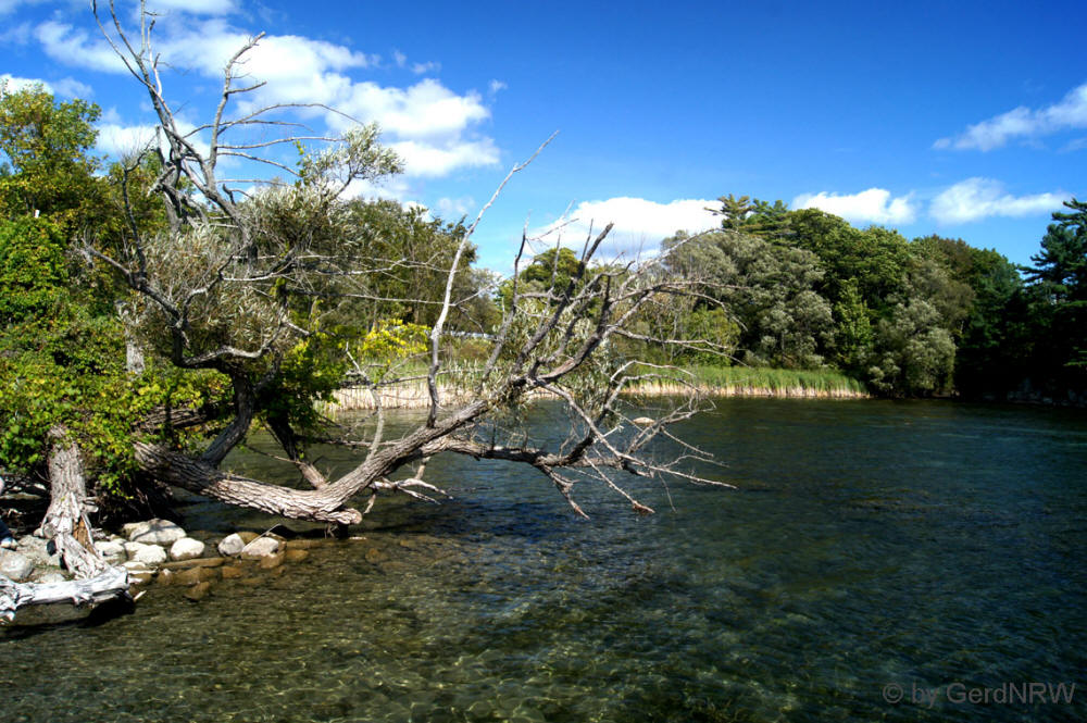 St. Lawrence River from 1000 Islands Parkway, Ontario, Canada - St. Laurence-Strom vom 1000 Islands Parkway, Ontario, Kanada