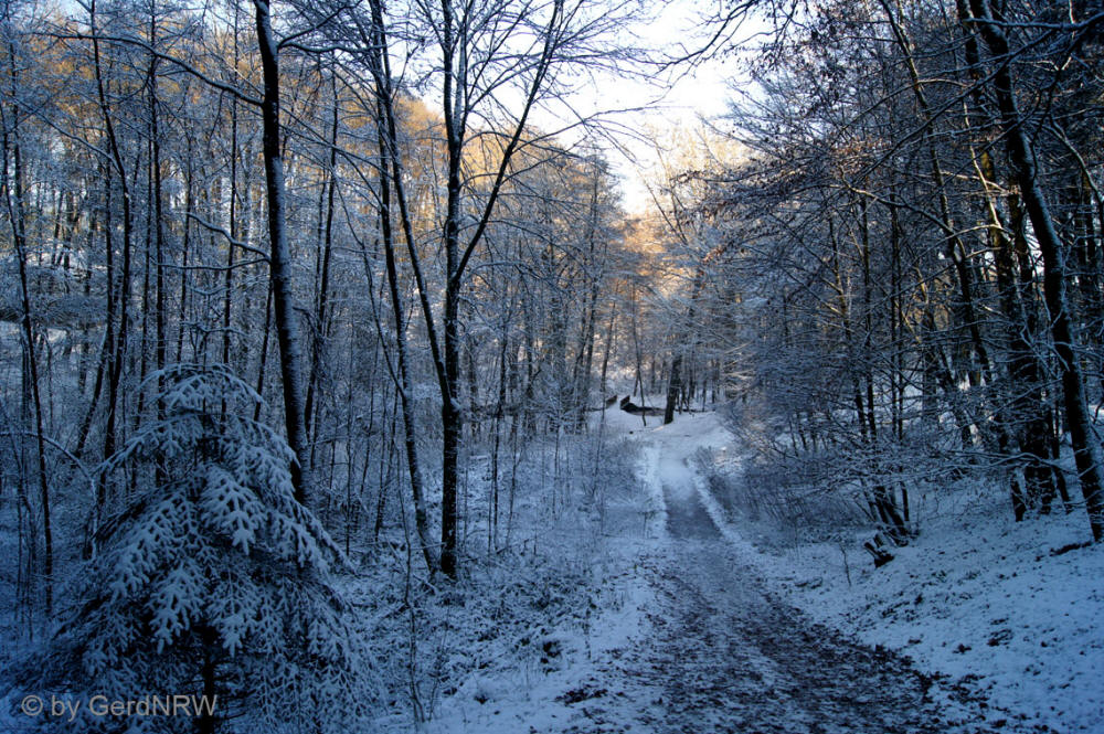 "In Paradise" ("Im Paradies"), Vogelsangbachtal, Heiligenhaus, Germany